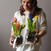 4 шт Мини-садик 10х10 с гиацинтами и мини нарциссами