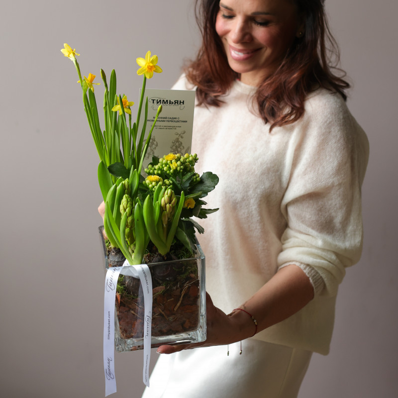 Весенний садик с гиацинтами, каланхоэ и нарциссами 15х15 см