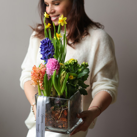 Весенний садик с гиацинтами, каланхоэ и нарциссами 15х15 см