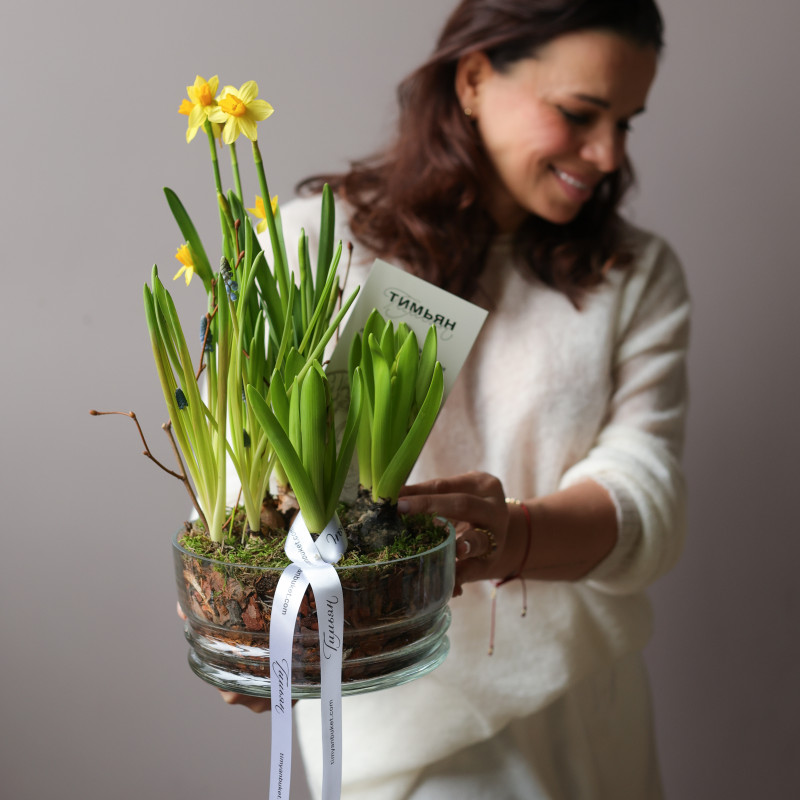 Весенний садик с гиацинтами, мускари и нарциссами в стекле, d=18 см