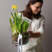 Весенний садик с гиацинтами, мускари и нарциссами в стекле, d=18 см