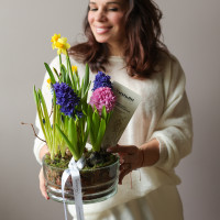 Весенний садик с гиацинтами, мускари и нарциссами в стекле, d=18 см