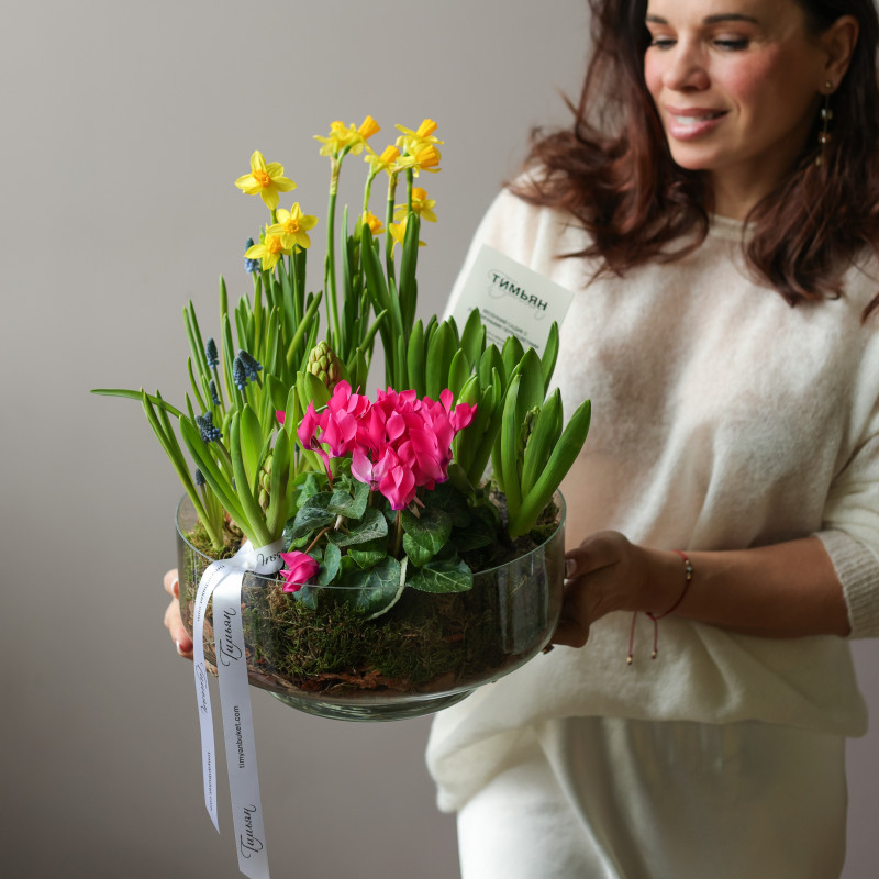 Весенний садик в большой Лоле с первоцветами и цикламеном в стекле в бутонах