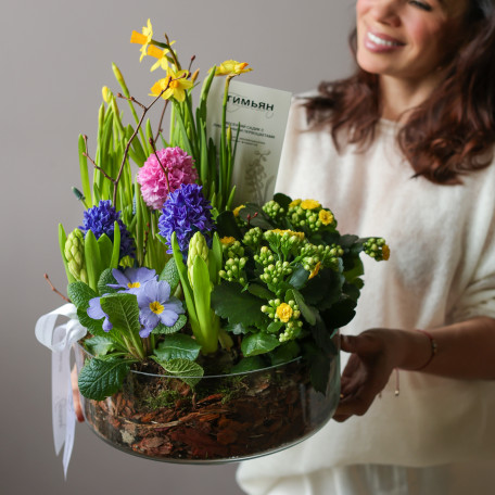Весенний садик Большая Лола с гиацинтами, каланхоэ и первоцветами в стекле в бутонах, d=28 см
