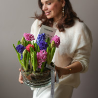 2 шт, Весенний ароматный моно-садик с гиацинтами В БУТОНАХ, в стекле, d=18 см