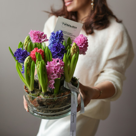 2 шт, Весенний ароматный моно-садик с гиацинтами В БУТОНАХ, в стекле, d=18 см