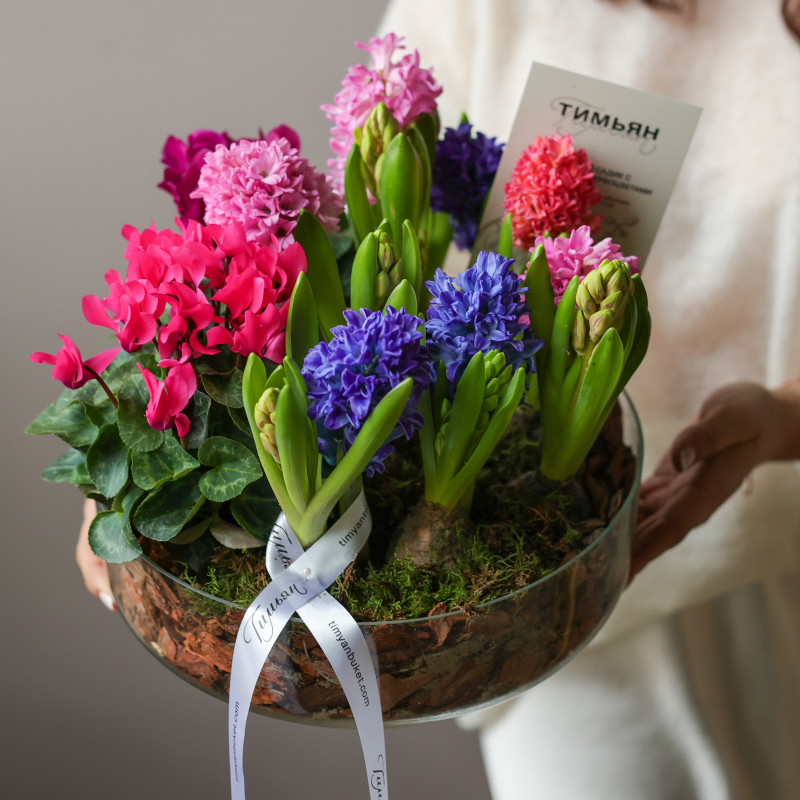 Весенний садик с гиацинтами и цикламенами, d=28 см