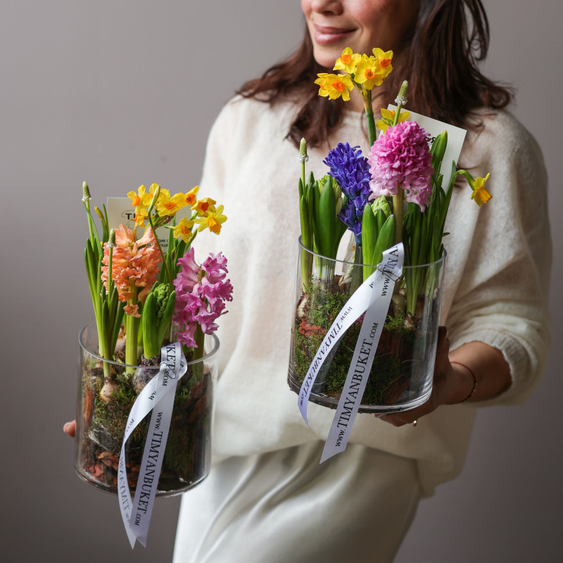 3 шт Мини-садик с гиацинтами, мускари и нарциссами в стекле, d=15 см (заказ от 3 шт)