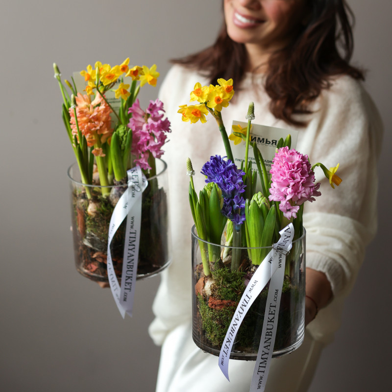 3 шт Мини-садик с гиацинтами, мускари и нарциссами в стекле, d=15 см (заказ от 3 шт)