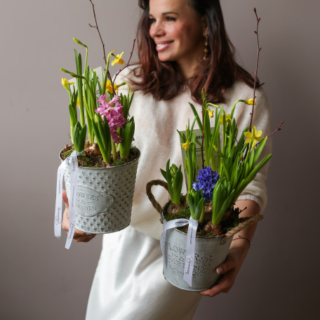 Весенний садик в ведерке с гиацинтами и нарциссами (заказ от 2 шт)