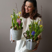Весенний садик в ведерке с гиацинтами и нарциссами (заказ от 2 шт)