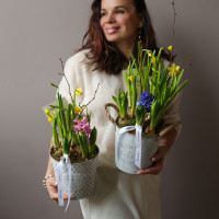 Весенний садик в ведерке с гиацинтами и нарциссами (заказ от 2 шт)