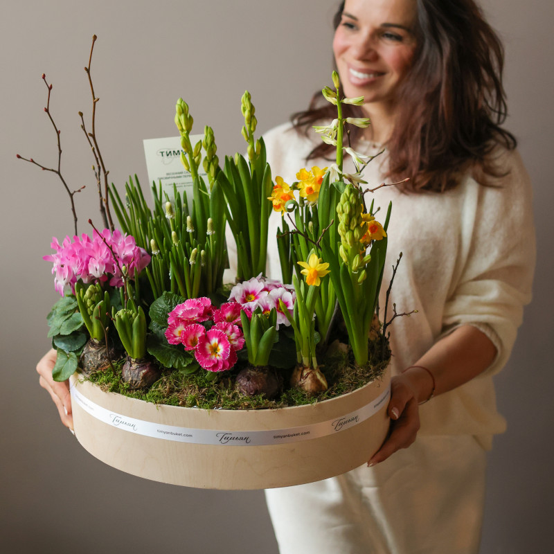 Весенний садик в деревянном кашпо с первоцветами (цвета разные) в среднем овале 40х30 см