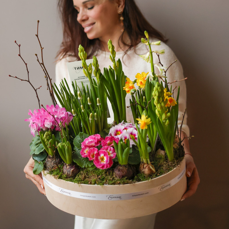 Весенний садик в деревянном кашпо с первоцветами (цвета разные) в среднем овале 40х30 см