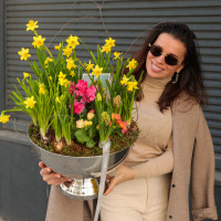 Весенний садик с нарциссами, цикламенами, гиацинтами и примулой в металлическом кашпо