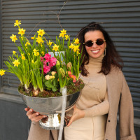 Весенний садик с нарциссами, цикламенами, гиацинтами и примулой в металлическом кашпо