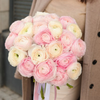 Круглый монобукет ранункулюсов, 23 шт