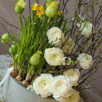 Пасхальная композиция с ранункулюсами и нарциссами в стильном кашпо