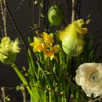 Пасхальная композиция с ранункулюсами и нарциссами в стильном кашпо