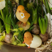 Пасхальная композиция с гиацинтами, нарциссами, тюльпанами и ветвями березы в кашпо