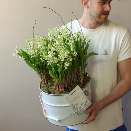 Ароматные луковичные ландыши в жестяном ведре