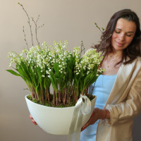 Ароматные луковичные ландыши в белолм дизайнерском кашпо