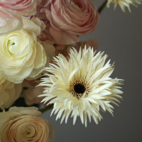 Премиум-композиция с ранункулюсами, дельфиниумом, гортензией и герберами в кашпо