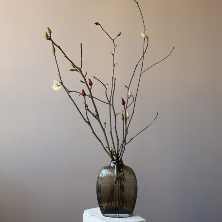 Ветки магнолии в вазе