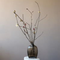 Ветки магнолии в вазе