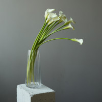 Каллы в вазе