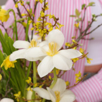 Пасхальная композиция с нарциссами, ветками и фигуркой зайки в стекле