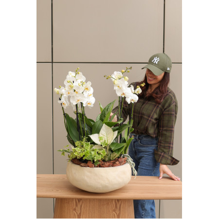 Орхидеи в бетонном кашпо