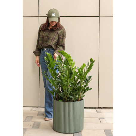 Замиокулькас в дизайнерском граненом кашпо 