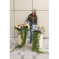 Сет 2-х композиций с гортензиями и плющем