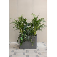 Сет экзотических растений в высоком прямоугольном кашпо 