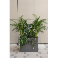 Сет экзотических растений в высоком прямоугольном кашпо 