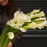 Монобукет высоких белых калл, 19 шт
