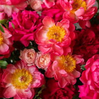 Премиум-композиция в вазе-шампаннице с пионами и французскими розами