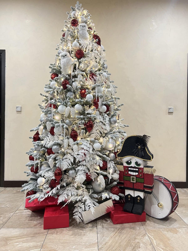 Елка с оформлением СОВЫ, бел-красная, с щелкунчиком, 210-250 см