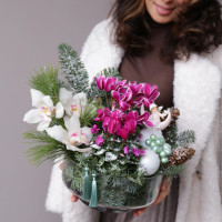 Зимний букет в стеклянной вазе натур пихта ЦИКЛАМЕНЫ+ОРХИДЕИ, в асс.