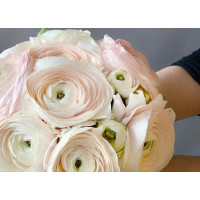 БУКЕТ из лютиков (ранункулюс)