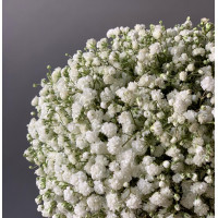 Букет ОБЛАЧКО, гипсофила