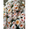 125 шикарных пионовидных роз в корзине