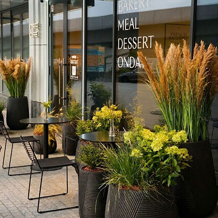 Тимьянбукет - Кейсы