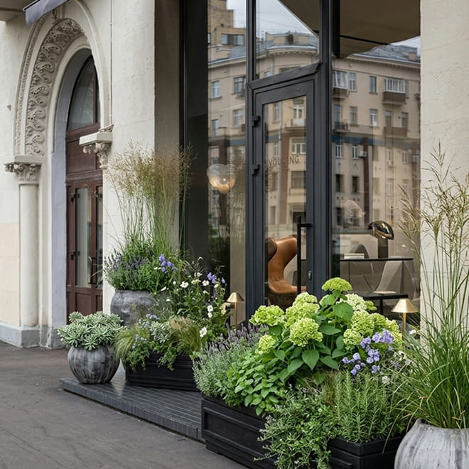 Озеленение входных групп 