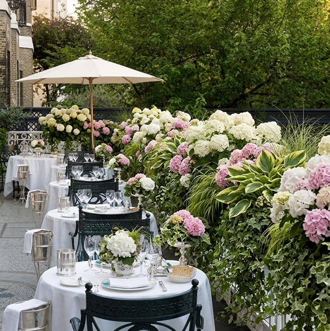 Озеленение веранд и терасс