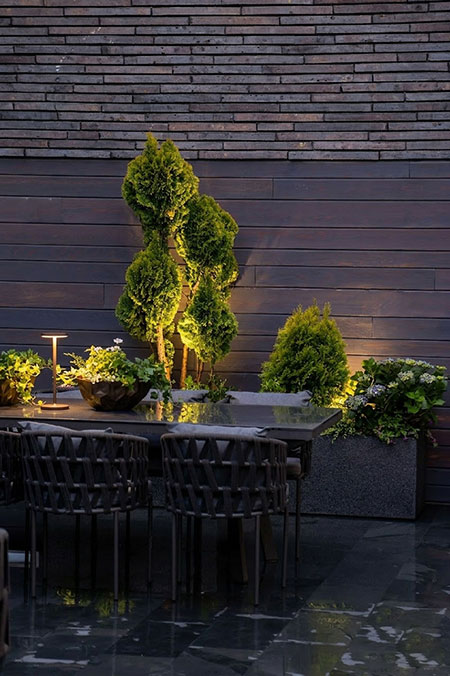 Наши проекты