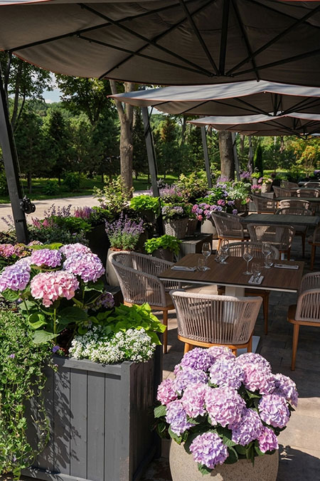 Наши проекты