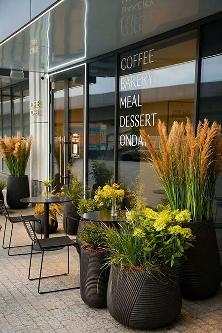 Наши проекты